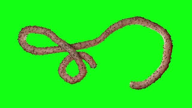 yukuyky 8i 78i yuiuyi uyi