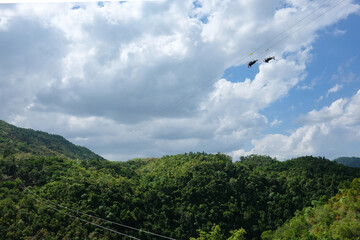 森でのジップライン