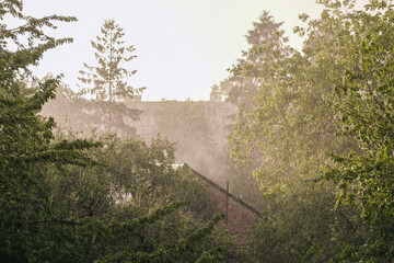 Fototapety na wymiar - Fototapeta24.pl