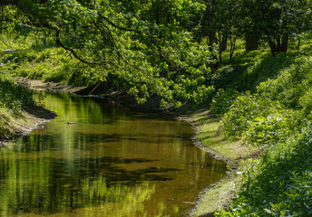 Fototapeta na wymiar A hot sunny June day on the banks of the Murzinka River.