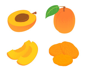 Apricot icons set. Isometric set of apricot vector icons for web design isolated on white background