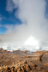 El Tatio geysers , San Pedro de Atacama, Chile.