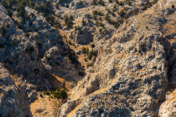 Texture of mountain rock with grass and leaves. crevices covered with vegetation. Greece, Islands
