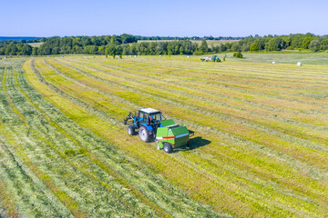 An agricultural tractor collects mowed grass for agricultural use and wraps hay bales in a plastic field, aerial view.