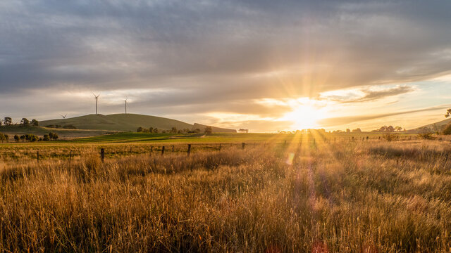 Wind farms at sunset at Waubra in Victoria Australia