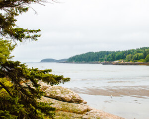 Fototapeta na wymiar Maine coast