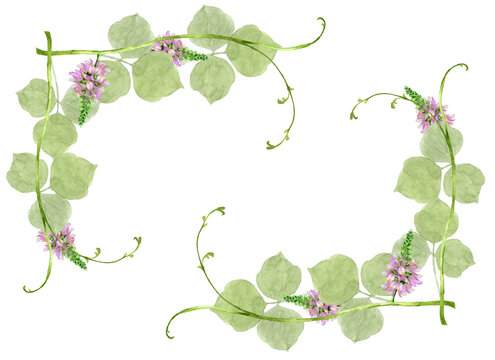 葛の花フレーム　Watercolor kudzu flowers frame decoration