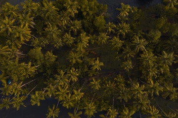 scenic  places kochi,kerala