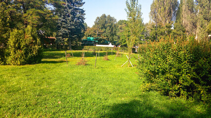 Sunny beautiful park in Moscow