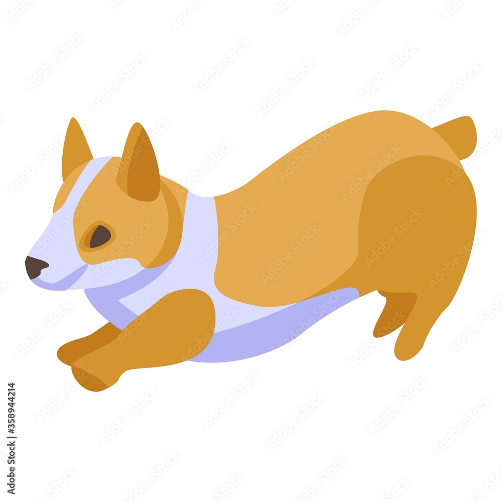 Poster playing corgi dog icon. isometric of playing corgi dog vector icon for web design isolated on white 