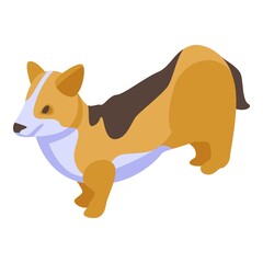 Puppy corgi dog icon. Isometric of puppy corgi dog vector icon for web design isolated on white background