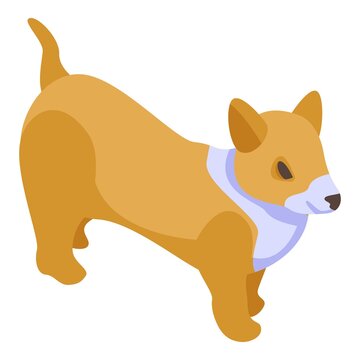 Funny corgi dog icon. Isometric of funny corgi dog vector icon for web design isolated on white background