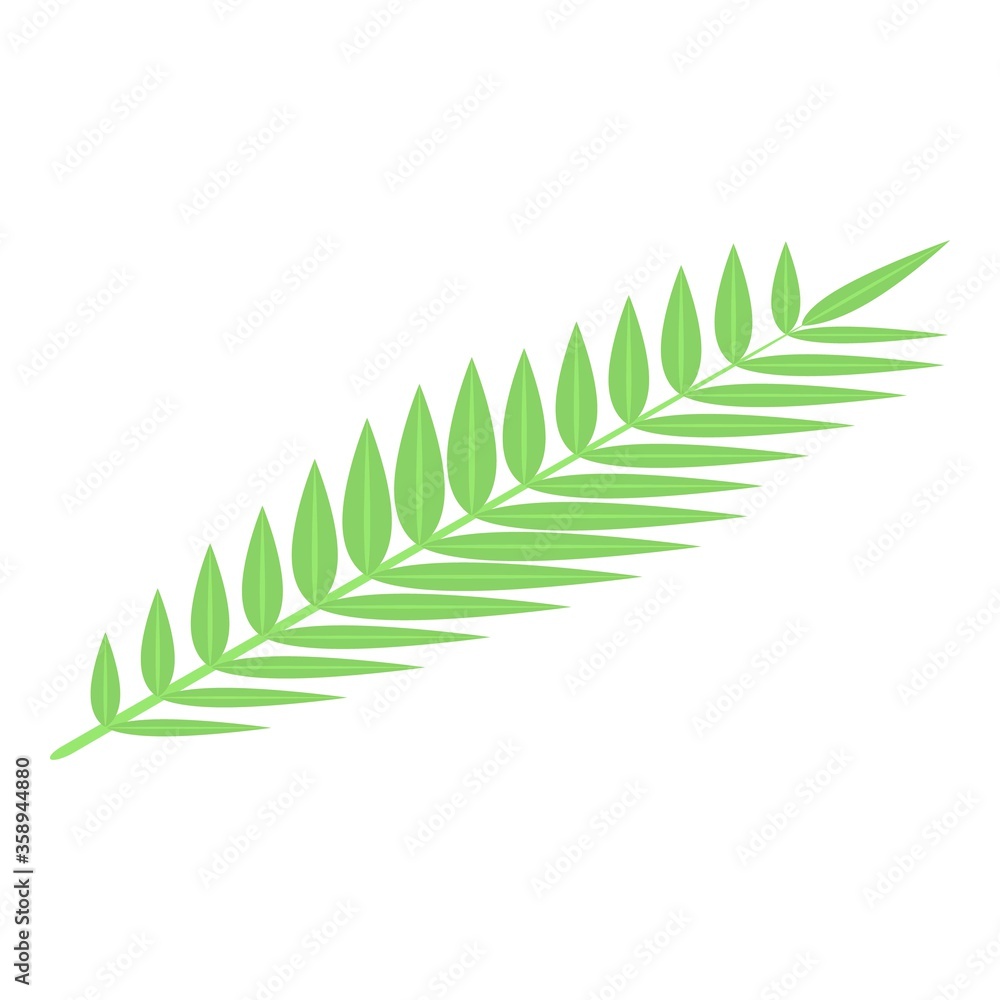 Poster coconut tree leaf icon. isometric of coconut tree leaf vector icon for web design isolated on white 