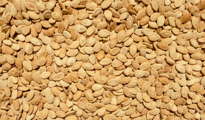 Many freshly roasted salted pumpkin seeds bakground.