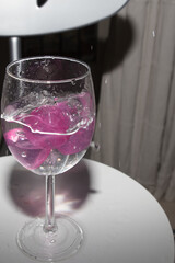  glass with ice cubes on white background