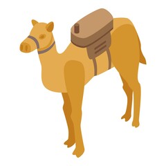 Egypt camel icon. Isometric of Egypt camel vector icon for web design isolated on white background