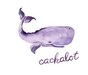 Lilac cachalot with lettering. Watercolor illustration isolated on white.