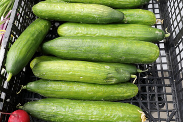 Fresh cucumbers in box