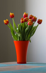Tulip in a vase red tulip in a vase on a table, flamed tulip, red and yellow tulip vase with tulips