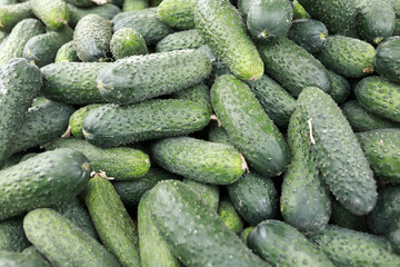Pile of cucumbers in market