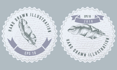 Monochrome labels design with illustration of banana palm leaves