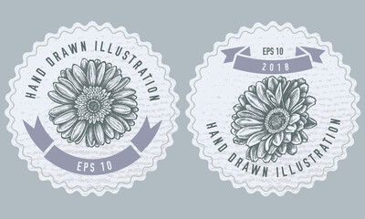 Monochrome labels design with illustration of gerbera