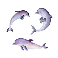 Set of three lilac dolphins isolated on white background. Hand-painted watercolor illustration.
