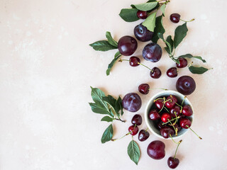 Summer fruits on pink texture table. Plum, cherry and green leaves. Copy space,