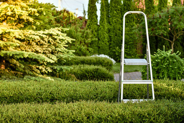 Gardener's ladder standing in the green garden outdoors. Copy space. © kyrychukvitaliy