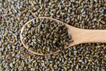 High angle view of  cassia seed on wooden spoon.  Good for the eyes.