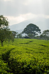 indonesia-bali-nature-aerial-waterfall