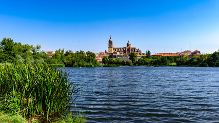 Fototapeta premium It's Old City of Salamanca, UNESCO World Heritage. Spain