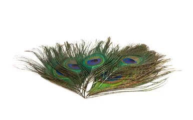 Fotobehang peacock feather with eye isolated © ksena32