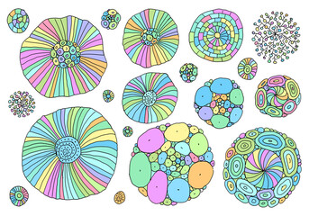 Vector doodle set. Linear flowers. Hand drawing simple sketches.