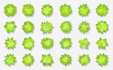 Trees top view. Different plants and trees vector set for architectural or landscape design. (View from above) Nature green spaces.