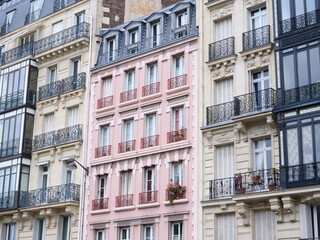 Fototapeta na wymiar Some buildings in Paris center. june 2020