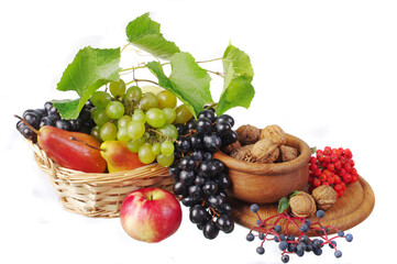 Grapes in a basket, pears, nuts, apples on a white background. Isolated on white.