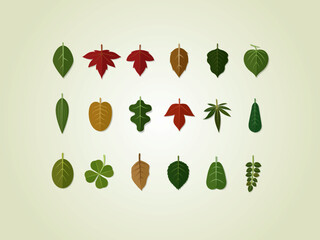 set of leaves