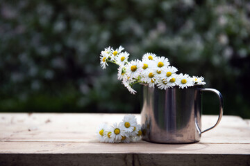 bouquet of daisies. Flowers. Still life. 
