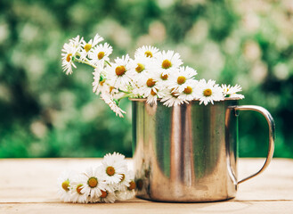 chamomile flowers in a cup. Flowers. Wooden table. 