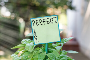Conceptual hand writing showing Perfect. Concept meaning complete without defects or blemishes...