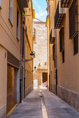 It's Architecture of the Historic Centre of Valencia, Spain