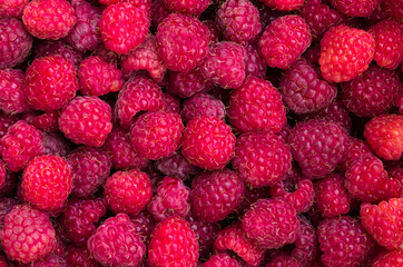 raspberry berries macro