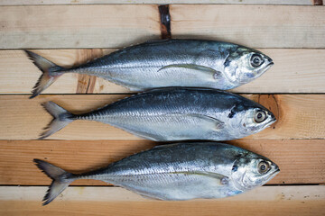 Close up and top view of mackerel on wooden background