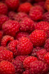 raspberry berries macro