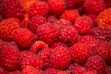 raspberry berries macro