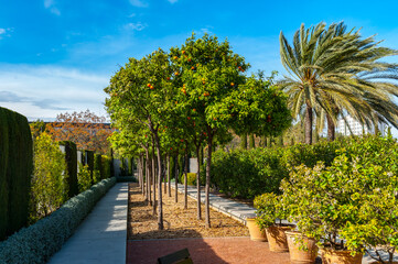 Obraz premium It's Garden of Hasperides in Valencia, Spain