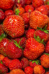 background of large strawberries macro