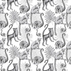 lemurs pattern drawing silhouette tropical animals isolate object white background primacy