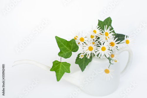 マーガレットとアイビーの花束 Wall Mural Wallpaper Murals Saraju